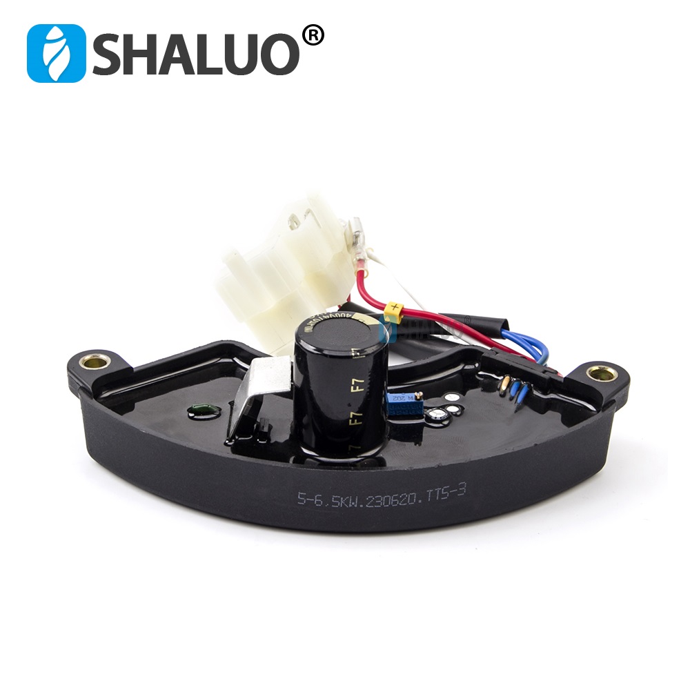 Universal 5KW 6.5KW AVR Three  - Cycloidal Reducer Bldc Motor recension och pris